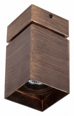 Накладной светильник Favourite Retro 2794-1U в Екатеринбурге - mebel24.online | фото 2