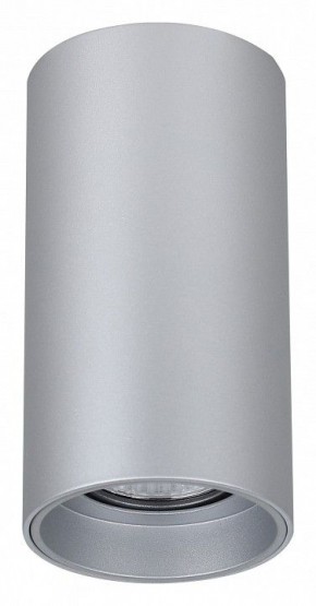 Накладной светильник Favourite Stirpe 2797-1U в Екатеринбурге - mebel24.online | фото 2