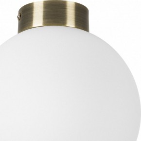 Накладной светильник Lightstar Globo 812021 в Екатеринбурге - mebel24.online | фото 3