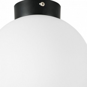 Накладной светильник Lightstar Globo 812027 в Екатеринбурге - mebel24.online | фото 2