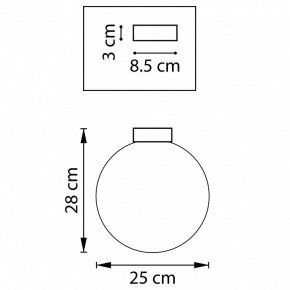 Накладной светильник Lightstar Globo 812031 в Екатеринбурге - mebel24.online | фото 2