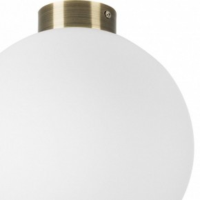 Накладной светильник Lightstar Globo 812031 в Екатеринбурге - mebel24.online | фото 3