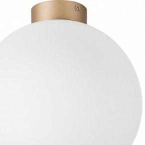 Накладной светильник Lightstar Globo 812033 в Екатеринбурге - mebel24.online | фото 2