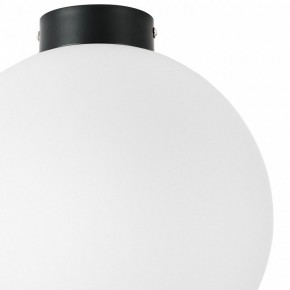 Накладной светильник Lightstar Globo 812037 в Екатеринбурге - mebel24.online | фото 3