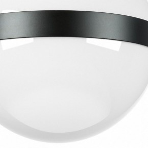 Накладной светильник Lightstar Globo 812117 в Екатеринбурге - mebel24.online | фото 3