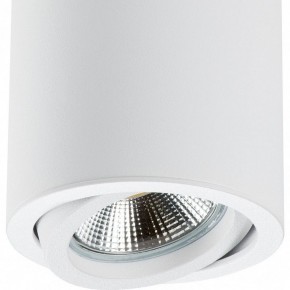 Накладной светильник Lightstar Rullo 214406 в Екатеринбурге - mebel24.online | фото 2