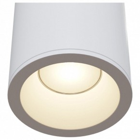 Накладной светильник Maytoni Zoom C029CL-01W в Екатеринбурге - mebel24.online | фото 4