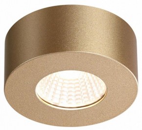 Накладной светильник Odeon Light Bene 4284/7CL в Екатеринбурге - mebel24.online | фото 4