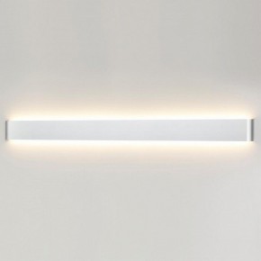 Накладной светильник Odeon Light Framant 4293/40WL в Екатеринбурге - mebel24.online | фото 3