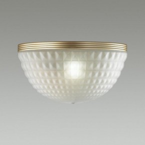 Накладной светильник Odeon Light Malaga 4936/1W в Екатеринбурге - mebel24.online | фото 2