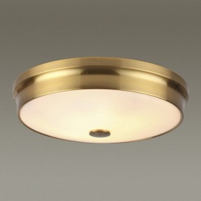 Накладной светильник Odeon Light Marsei 4824/4C в Екатеринбурге - mebel24.online | фото 2