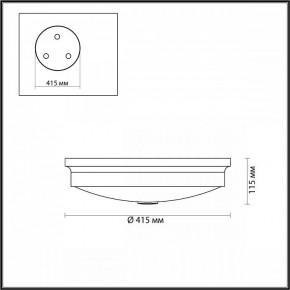Накладной светильник Odeon Light Marsei 4824/4C в Екатеринбурге - mebel24.online | фото 4
