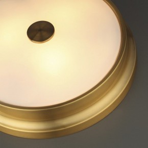 Накладной светильник Odeon Light Marsei 4824/4C в Екатеринбурге - mebel24.online | фото 5