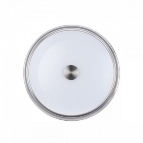 Накладной светильник Odeon Light Marsei 4825/3C в Екатеринбурге - mebel24.online | фото 2