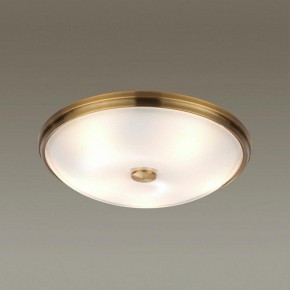Накладной светильник Odeon Light Pelow 4956/5 в Екатеринбурге - mebel24.online | фото 2