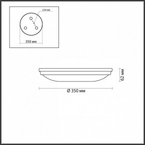 Накладной светильник Odeon Light Pelow 4957/4 в Екатеринбурге - mebel24.online | фото 3
