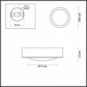 Накладной светильник Odeon Light Reus 4342/7CL в Екатеринбурге - mebel24.online | фото 4