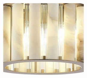 Накладной светильник ST-Luce Delight SL1516.302.06 в Екатеринбурге - mebel24.online | фото 4