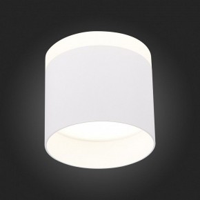 Накладной светильник ST-Luce Panaggio ST102.542.12 в Екатеринбурге - mebel24.online | фото 3