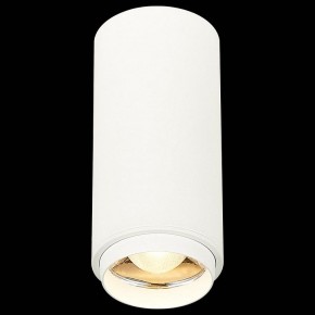 Накладной светильник ST-Luce Zoom ST600.532.10 в Екатеринбурге - mebel24.online | фото 4