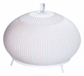 Настольная лампа декоративная Divinare Firefly 1808/33 TL-50 в Екатеринбурге - mebel24.online | фото
