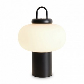 Настольная лампа декоративная Freya Take FR6175TL-L10B в Екатеринбурге - mebel24.online | фото