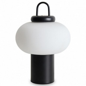 Настольная лампа декоративная Freya Take FR6175TL-L10B в Екатеринбурге - mebel24.online | фото 2