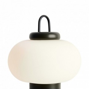 Настольная лампа декоративная Freya Take FR6175TL-L10B в Екатеринбурге - mebel24.online | фото 5