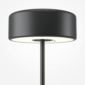 Настольная лампа декоративная Maytoni AI Collaboration MOD229TL-L3B3K2 в Екатеринбурге - mebel24.online | фото 4