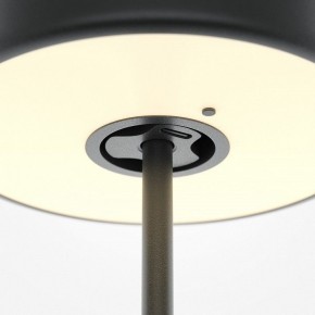 Настольная лампа декоративная Maytoni AI Collaboration MOD229TL-L3B3K2 в Екатеринбурге - mebel24.online | фото 5