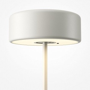 Настольная лампа декоративная Maytoni AI Collaboration MOD229TL-L3W3K2 в Екатеринбурге - mebel24.online | фото 5