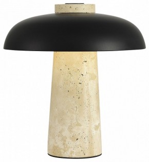 Настольная лампа декоративная ST-Luce Earthy SL1194.424.01 в Екатеринбурге - mebel24.online | фото 3