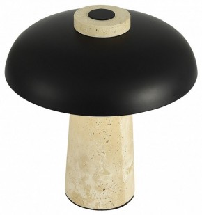 Настольная лампа декоративная ST-Luce Earthy SL1194.424.01 в Екатеринбурге - mebel24.online | фото 5