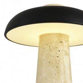 Настольная лампа декоративная ST-Luce Earthy SL1194.424.01 в Екатеринбурге - mebel24.online | фото 6