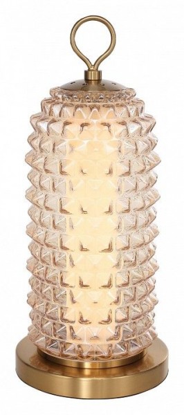 Настольная лампа декоративная ST-Luce SAGUARO SL6144.304.01 в Екатеринбурге - mebel24.online | фото 2