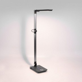 Настольная лампа офисная Elektrostandard Great a065290 в Екатеринбурге - mebel24.online | фото 3