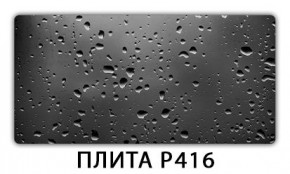 Обеденный стол Паук с фотопечатью узор Доска D110 в Екатеринбурге - mebel24.online | фото 12