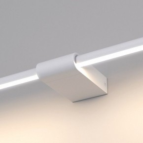 Подсветка для картины Elektrostandard Luar a062889 в Екатеринбурге - mebel24.online | фото 5