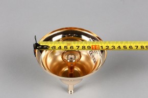 Подвесная люстра Aployt Daniele APL.701.03.12 в Екатеринбурге - mebel24.online | фото 6