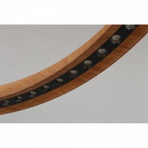 Подвесная люстра Aployt Justyna APL.787.03.75 в Екатеринбурге - mebel24.online | фото 10