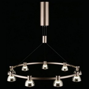Подвесная люстра Aployt Rezeda APL.788.03.09 в Екатеринбурге - mebel24.online | фото 12