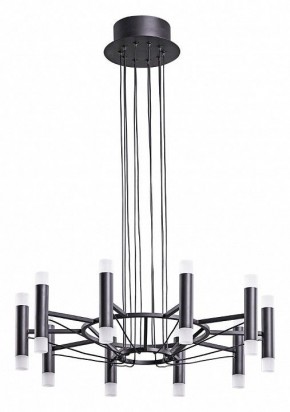 Подвесная люстра Arte Lamp Empire A2482SP-20BK в Екатеринбурге - mebel24.online | фото 2