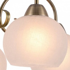Подвесная люстра Arte Lamp Margo A9317LM-5AB в Екатеринбурге - mebel24.online | фото 2
