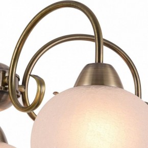 Подвесная люстра Arte Lamp Margo A9317LM-5AB в Екатеринбурге - mebel24.online | фото 3