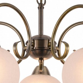Подвесная люстра Arte Lamp Margo A9317LM-5AB в Екатеринбурге - mebel24.online | фото 4