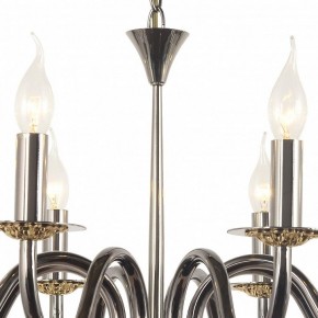 Подвесная люстра Arti Lampadari Pontone Pontone E 1.1.8 PB в Екатеринбурге - mebel24.online | фото 3