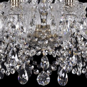 Подвесная люстра Bohemia Ivele Crystal 1411 1411/10/195/Pa в Екатеринбурге - mebel24.online | фото 3