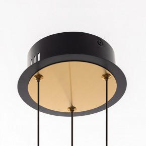 Подвесная люстра Citilux HELLY CL211042 в Екатеринбурге - mebel24.online | фото 11