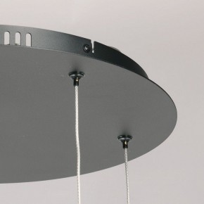 Подвесная люстра DeMarkt Ауксис 11 722013106 в Екатеринбурге - mebel24.online | фото 10
