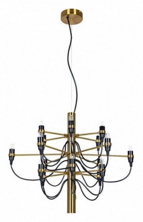 Подвесная люстра Divinare Molto 8030/17 LM-18 в Екатеринбурге - mebel24.online | фото 2